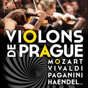 Violons de Prague | Annonay Eglise Notre-Dame Affiche