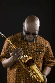 Manu Dibango et le Soul Makossa Gang Parc Floral de Paris Affiche