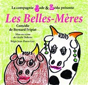 Les Belles-Mères Thtre Stphane Gildas Affiche