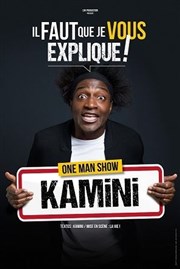 Kamini dans Je vous explique tout Spotlight Affiche