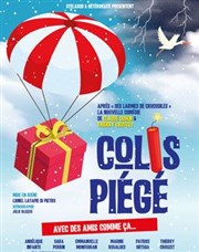 Colis piégé La Comdie de Toulouse Affiche