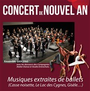 Concert du Nouvel An Salle Polyculturelle du Camp Romain Affiche