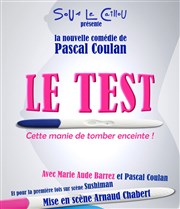 Le Test Thtre Sous Le Caillou Affiche