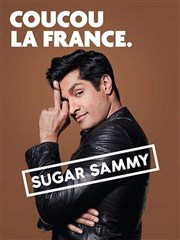 Sugar Sammy Thtre de L'Htel de Ville Affiche