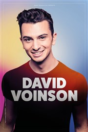 David Voinson Thtre  l'Ouest de Lyon Affiche