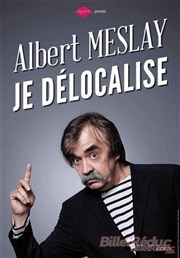 Albert Meslay dans Je délocalise Terrasse des Arts Affiche