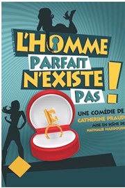 L'homme parfait n'existe pas Thtre  l'Ouest Caen Affiche