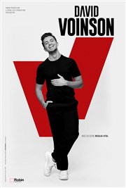 David Voinson Espace Vergze Affiche