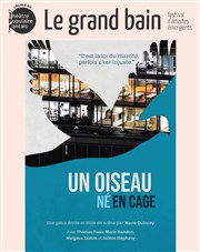 Un oiseau né en cage Theatre de la rue de Belleville Affiche