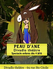 Peau d'âne Thtre Divadlo Affiche