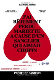 J'ai bêtement perdu Mariette à cause d'un sanglier qui aimait Chopin Prsence Pasteur Affiche