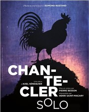 Chantecler Solo Albatros Thtre - Salle Magasin Affiche