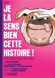 Je la sens bien cette histoire Thtre Le Palace salle 2 Affiche