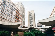 Visite guidée du quartier chinois de Paris 13e, sur les traces des boat people | par Michael Mtro Olympiades Affiche