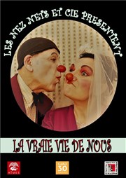 La vraie vie de nous Ple Culturel Jean Ferrat Affiche