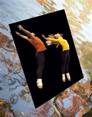 Merce Cunningham & CNDC d'Angers | How to Pass, Kick, Fall and Run + Inlets 2 + Beach Birds Chaillot - Thtre National de la Danse / Salle Jean Vilar Affiche