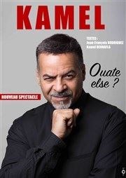 Kamel dans Ouate else ? L'antidote - Petite salle Affiche