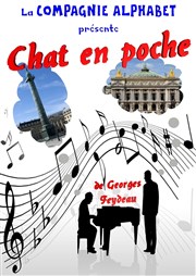 Chat en poche Thtre L'Alphabet Affiche