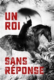 Un roi sans réponse IVT International Visual Thtre Affiche