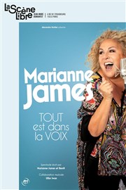 Marianne James dans Tout est dans la voix La Scne Libre Affiche