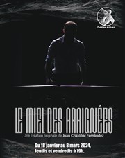 Le miel des araignées Thtre La Croise des Chemins - Salle Paris-Belleville Affiche