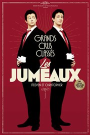 Les jumeaux dans Grands crus classés L'Art D Affiche