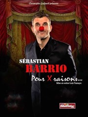 Sébastian Barrio dans Pour x raisons... Thtre des italiens Affiche