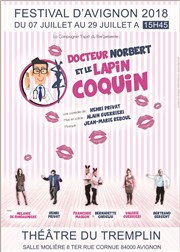 Docteur Norbert et le lapin coquin Thtre Tremplin Affiche