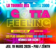 I gotta feeling Znith de Pau Affiche