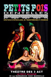 Petits Pois Dentelle Thtre des 3 Acts Affiche