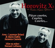 Horovitz X3 Le Verbe fou Affiche