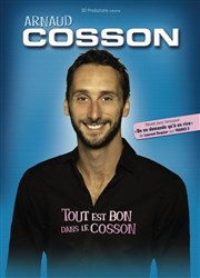 Arnaud Cosson dans Tout est bon dans le cosson La Comdie de Toulouse Affiche