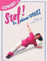 Stef ! En pleines formes Le Zbre de Belleville Affiche