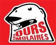 Théâtre d'impro | Les Ours molaires Thtre des Beaux-Arts - Tabard Affiche