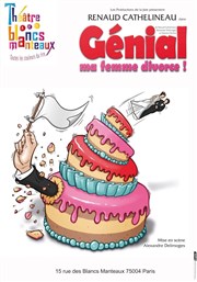 Renaud Cathelineau dans Génial ma femme divorce Thtre Les Blancs Manteaux Affiche