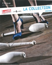 La Collection Espace Germinal Affiche