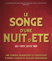 Le Songe d'une nuit d'été ou Very Love Trip Fort de Feyzin Affiche