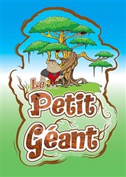 Le Petit Géant Comdie Pieracci Affiche