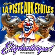 Cirque la piste aux étoiles dans Eléphantesque | - Argelés-sur-mer Cirque la piste aux toiles dans lphantesque Affiche