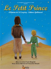 Le Petit Prince Thtre de la violette Affiche