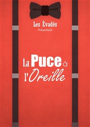 La puce à l'oreille La Comdie d'Aix Affiche