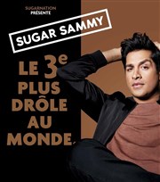 Sugar Sammy Le Point Virgule Affiche