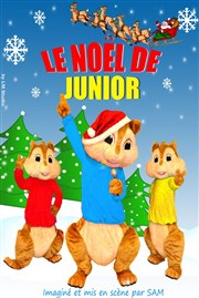 Le Noël de Junior La Comdie des Suds Affiche