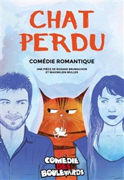 Chat perdu Le Mtropole Affiche