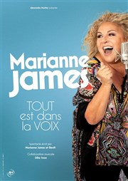 Marianne James dans Tout est dans la voix Thtre Fmina Affiche