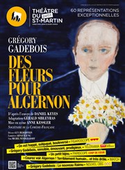 Des fleurs pour Algernon Thtre du Petit Saint Martin Affiche