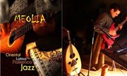 trio Meolia, jazz arabo-andalou Bateau Daphn Affiche