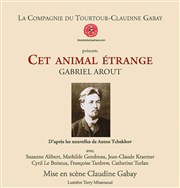 Cet Animal étrange Thtre de l'Ile Saint-Louis Paul Rey Affiche