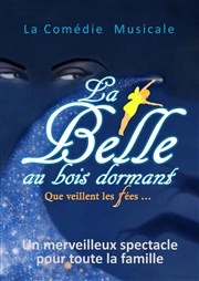 La Belle au bois dormant Le Paris - salle 1 Affiche