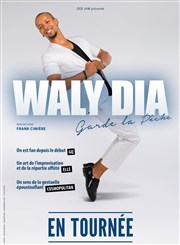 Waly Dia dans Waly Dia garde la pêche ! Thtre de Grasse Affiche